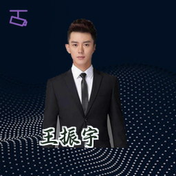 王振宇